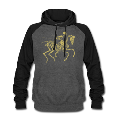 Pferde Hoodie - Ein Totes Pferd Reiten