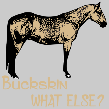 Motiv BUCKSKIN - Quarter Horse