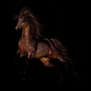 Motiv Brown Wild Horse
