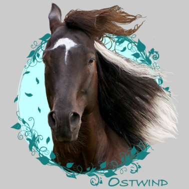 Motiv Ostwind Aris Ankunft Ostwind Porträt