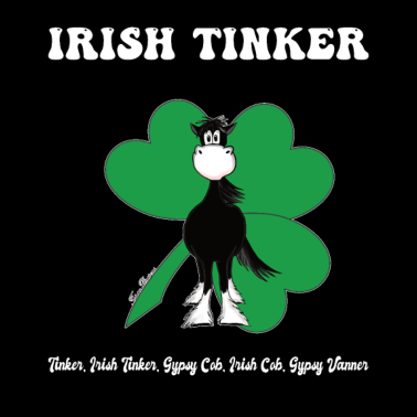 Motiv Tinker, Irish Tinker, Gypsy Cob, Gypsy Vanner