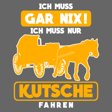 Motiv Kutsche Pferdekutsche Pferd Kutscher