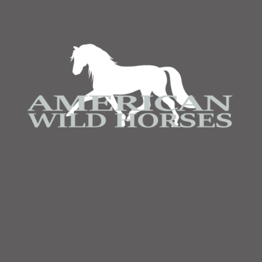 Motiv Pferde, Pferd, Westernreiten, Mädchen, Reiten