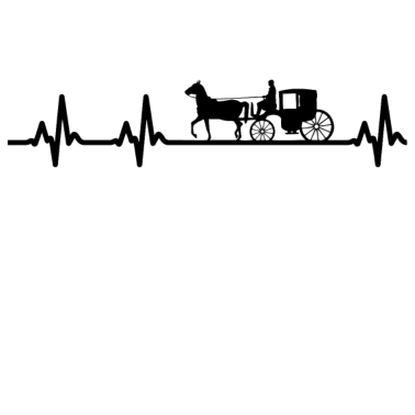 Motiv Kutscher Kutsche Pferd