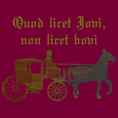 Motiv Lateinischer Kutscher Spruch