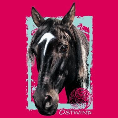Motiv Ostwind Aris Ankunft Pferd Ostwind Porträt