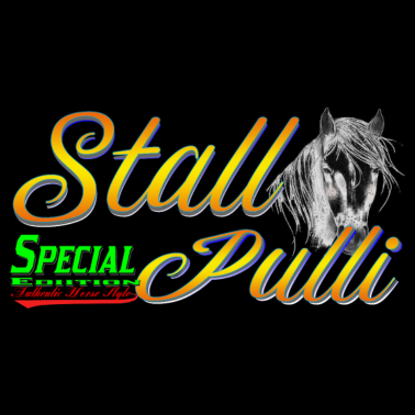 Motiv Special Edition Stall Pulli Reiten Pferd Geschenk