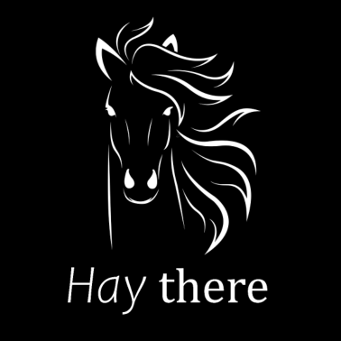 Motiv Pferd Reiter Lustige Pferde Sprüche zum Geburtstag