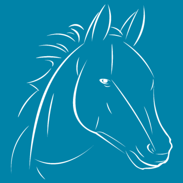 Motiv Pferd gezeichnete Linien des Pferdekopfes - Pferd