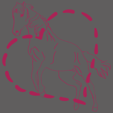 Motiv Love Horse Pferde Pferd Pony Reiter Geschenk