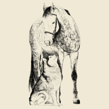 Motiv Pferd mit Hund