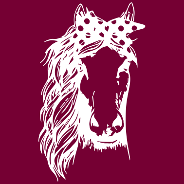 Motiv Pferd Pferde Pferdeliebe Pony Reiter Reiterin