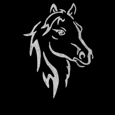 Motiv Pferd, Pferde, Reiten, Reiterin, Hengst, Rennen, S