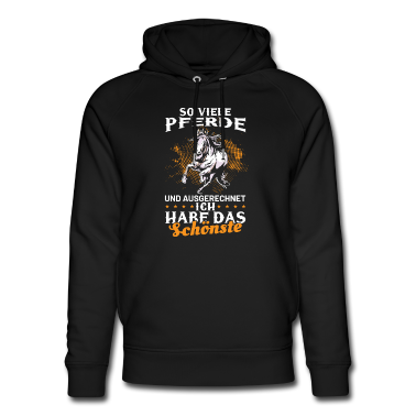 Pferde Hoodie - Reiterin Pferd Reitsport Haflinger