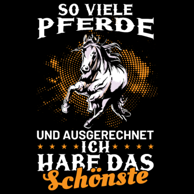 Motiv Reiterin Pferd Reitsport Haflinger