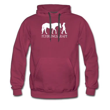 Pferde Hoodie - Pferd Paint Horse Araber Geschenk Fohlen