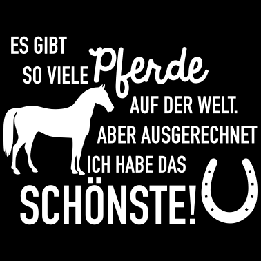 Motiv Schönstes Pferd