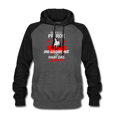 Pferde Hoodie - So viele Pferde und ich habe das Schönste