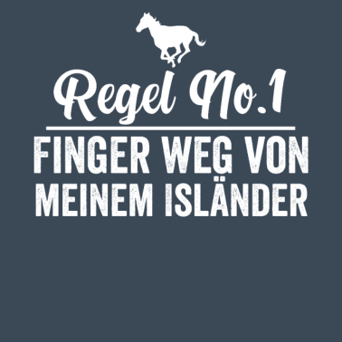 Motiv Isländer Dressurreiten Reiterin Pferdestall Pony G