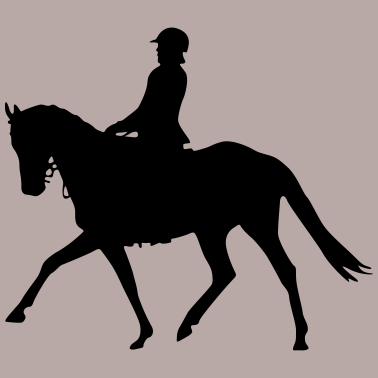 Motiv Pferd Reiten Silhouette