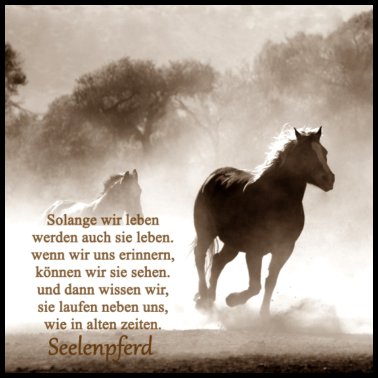 Motiv Seelenpferd Andenken Kissen Tassen Geschenkidee