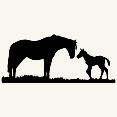 Motiv Pferde, Pferd & Fohlen