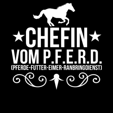 Motiv Reiten Reitsport Pferdeliebhaber Reitschule Pferde