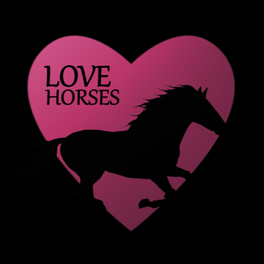 Motiv Pferd Pferde Reiten Reitsport Pony Western