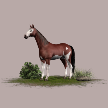 Motiv Pferd - braunes Pferd