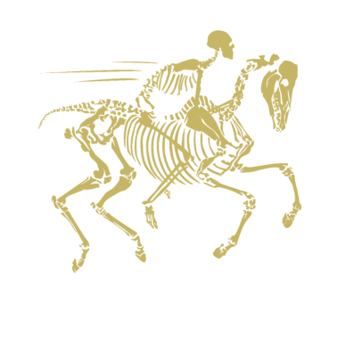 Motiv Ein Totes Pferd Reiten