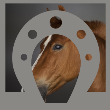 Motiv PFERD Pferde Hufeisen