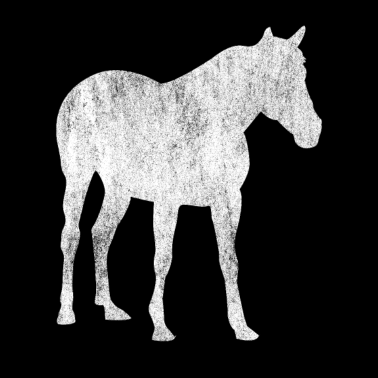 Motiv Pferd Reiten Pferde