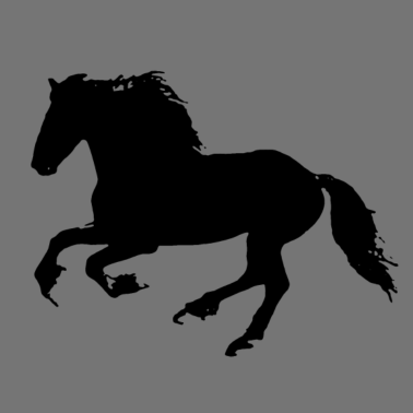 Motiv FRYZYJSKI PFERD - Pferd Pferde