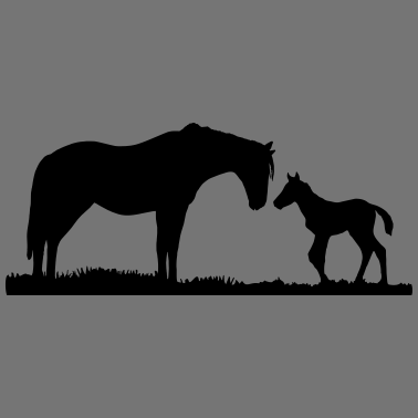 Motiv Pferde, Pferd & Fohlen