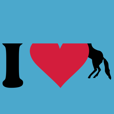 Motiv Pferd - Pferde