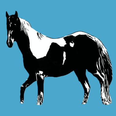 Motiv Pferd