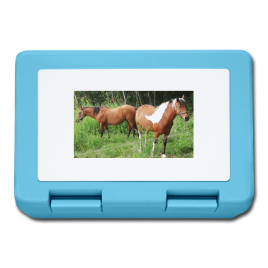 Pferde Brotdose - Pferde