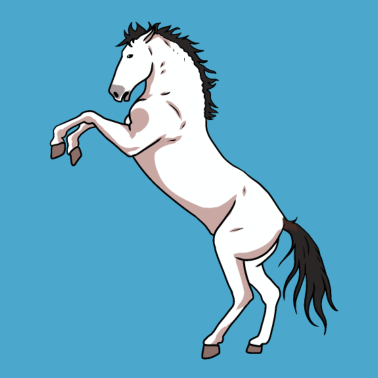 Motiv Pferd Pferde Pony Wildpferd