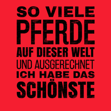 Motiv So viele Pferde auf dieser Welt, reiten, Geschenk