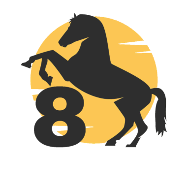 Motiv Geburtstagsshirt Pferd 8. Geburtstag für Mädchen