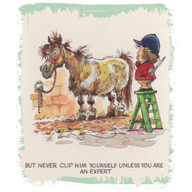 Motiv Thelwell Cartoon Pony beim Friseur