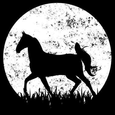 Motiv Pferd Pferde Reiten