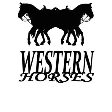 Motiv Pferd Pferde Westernreiten