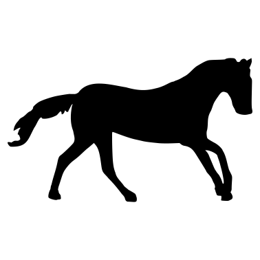 Motiv Pferd