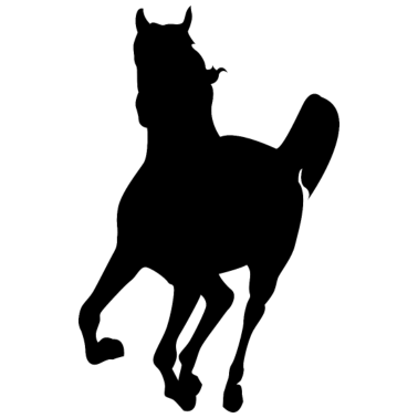 Motiv Pferd