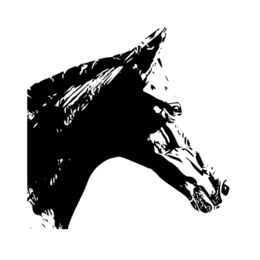 Motiv Pferd
