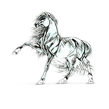 Motiv Pferd