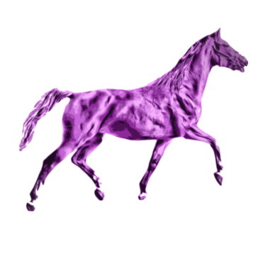 Motiv Pferd