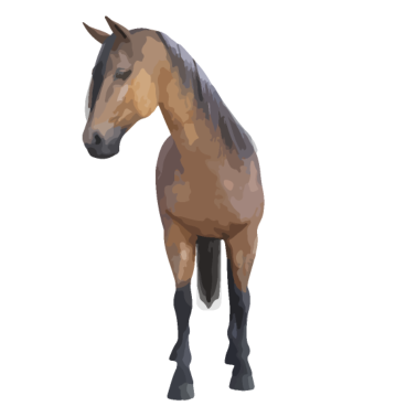 Motiv Pferd