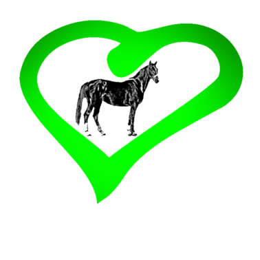 Motiv Pferd